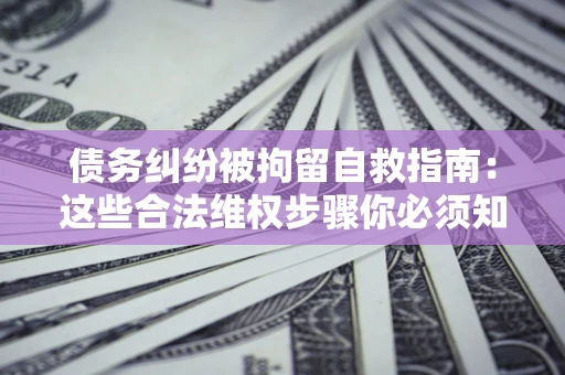 武汉债务纠纷被拘留自救指南：这些合法维权步骤你必须知道！