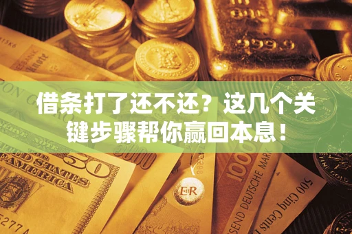武汉借条打了还不还？这几个关键步骤帮你赢回本息！