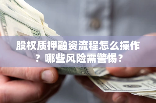 武汉股权质押融资流程怎么操作？哪些风险需警惕？