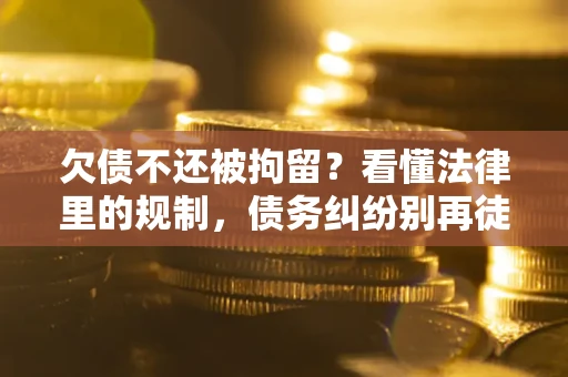 武汉欠债不还被拘留？看懂法律里的规制，债务纠纷别再徒劳奔波