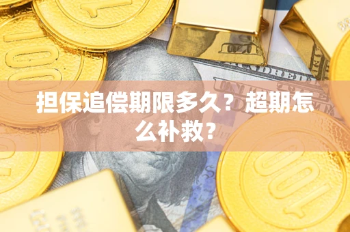 武汉担保追偿期限多久？超期怎么补救？