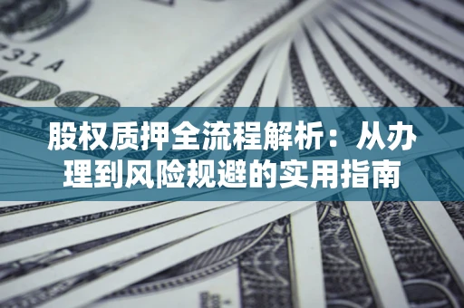 武汉股权质押全流程解析：从办理到风险规避的实用指南