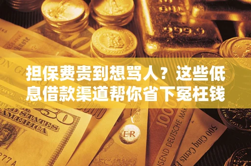 武汉担保费贵到想骂人？这些低息借款渠道帮你省下冤枉钱