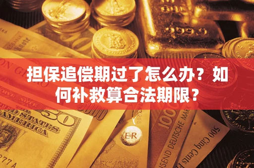 武汉担保追偿期过了怎么办？如何补救算合法期限？