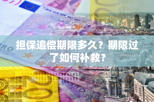 武汉担保追偿期限多久？期限过了如何补救？