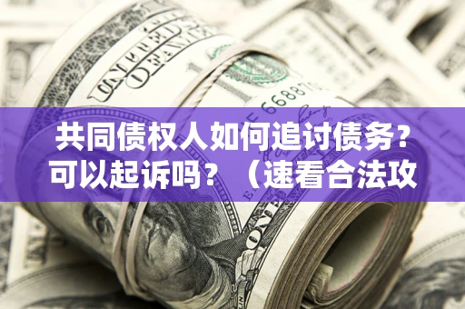 武汉共同债权人如何追讨债务？可以起诉吗？（速看合法攻略）