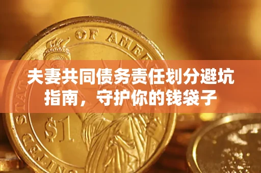 武汉夫妻共同债务责任划分避坑指南，守护你的钱袋子