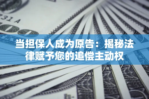武汉当担保人成为原告：揭秘法律赋予您的追偿主动权