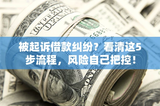 武汉被起诉借款纠纷？看清这5步流程，风险自己把控！