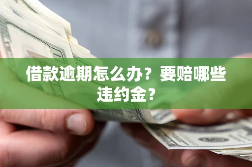 武汉借款逾期怎么办？要赔哪些违约金？