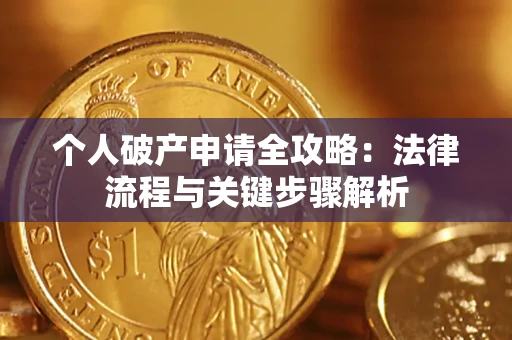武汉个人破产申请全攻略：法律流程与关键步骤解析