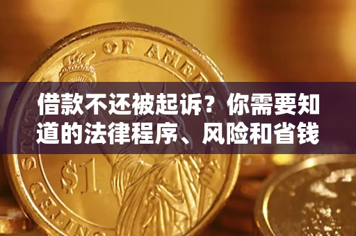 武汉借款不还被起诉？你需要知道的法律程序、风险和省钱技巧