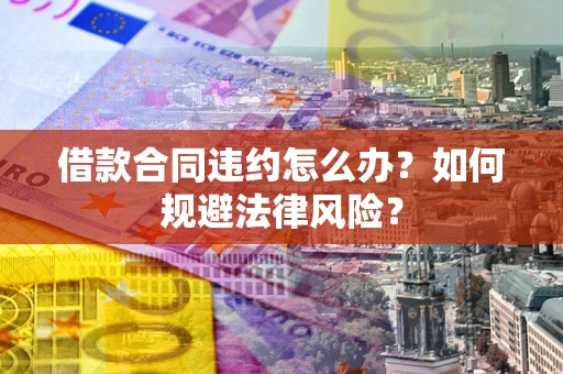 武汉借款合同违约怎么办？如何规避法律风险？